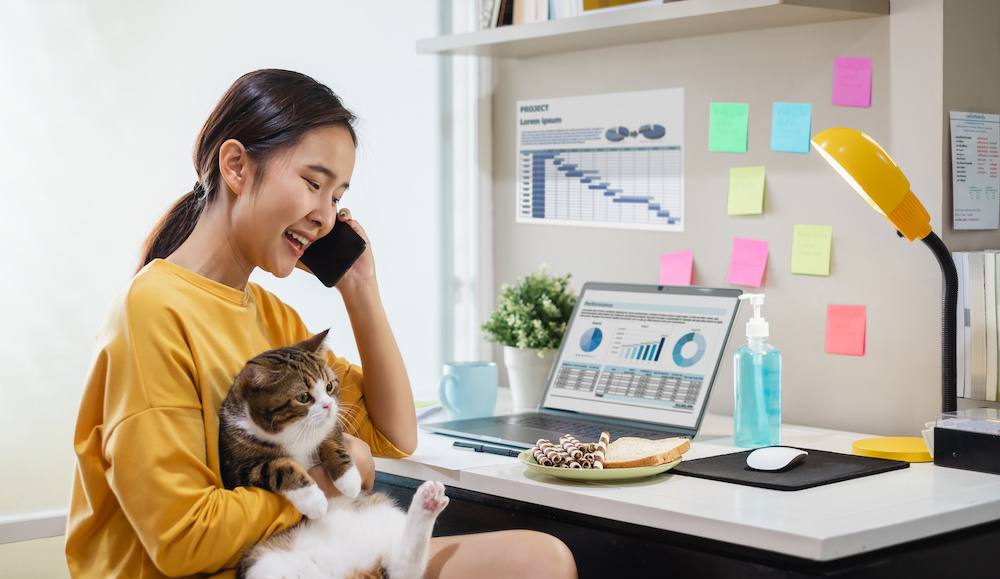 Woman working from home with her cat.